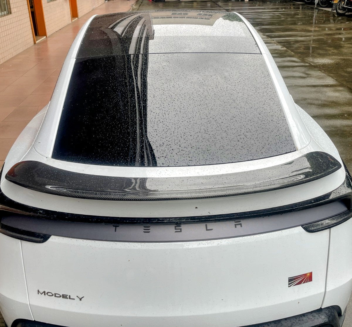 Carbon Fiber V Wing - Fusion Motorsports USA