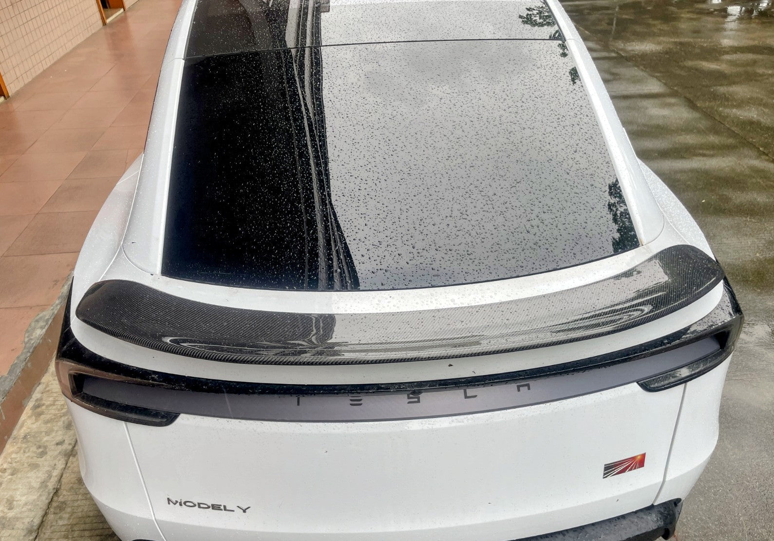 Carbon Fiber V Wing - Fusion Motorsports USA