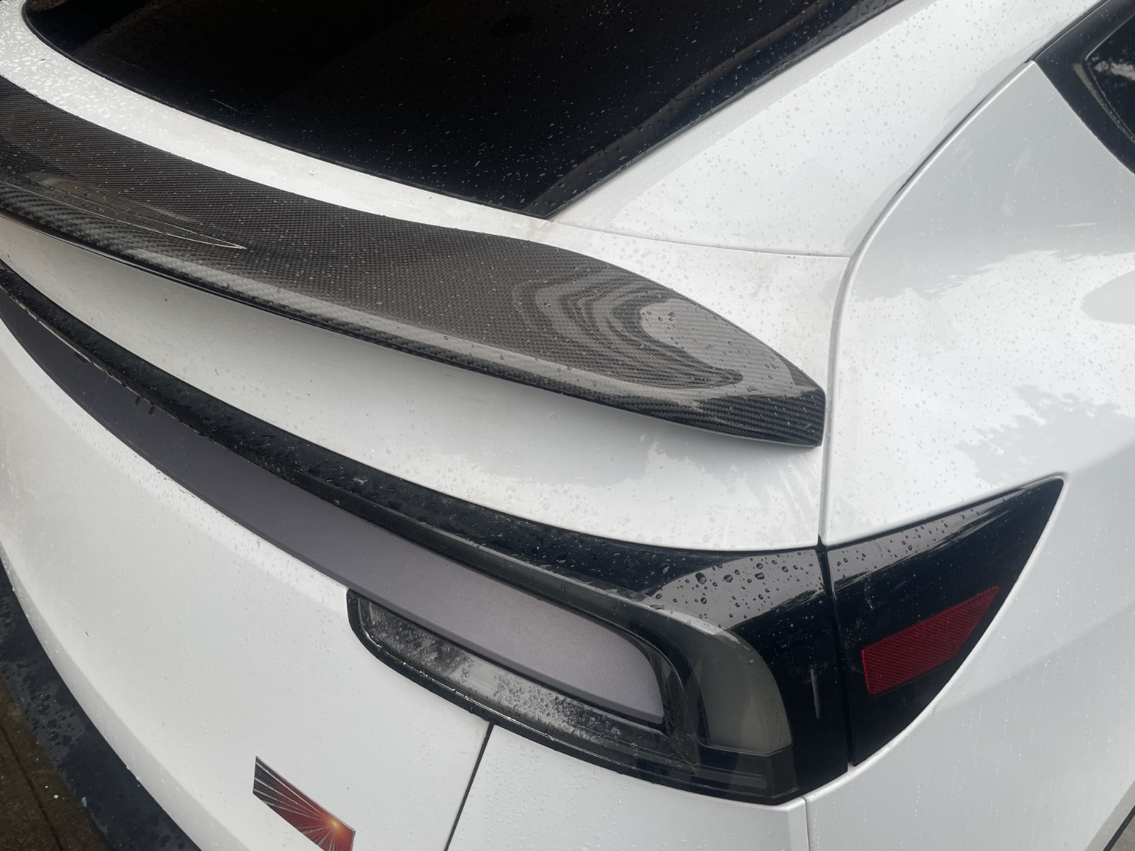 Carbon Fiber V Wing - Fusion Motorsports USA
