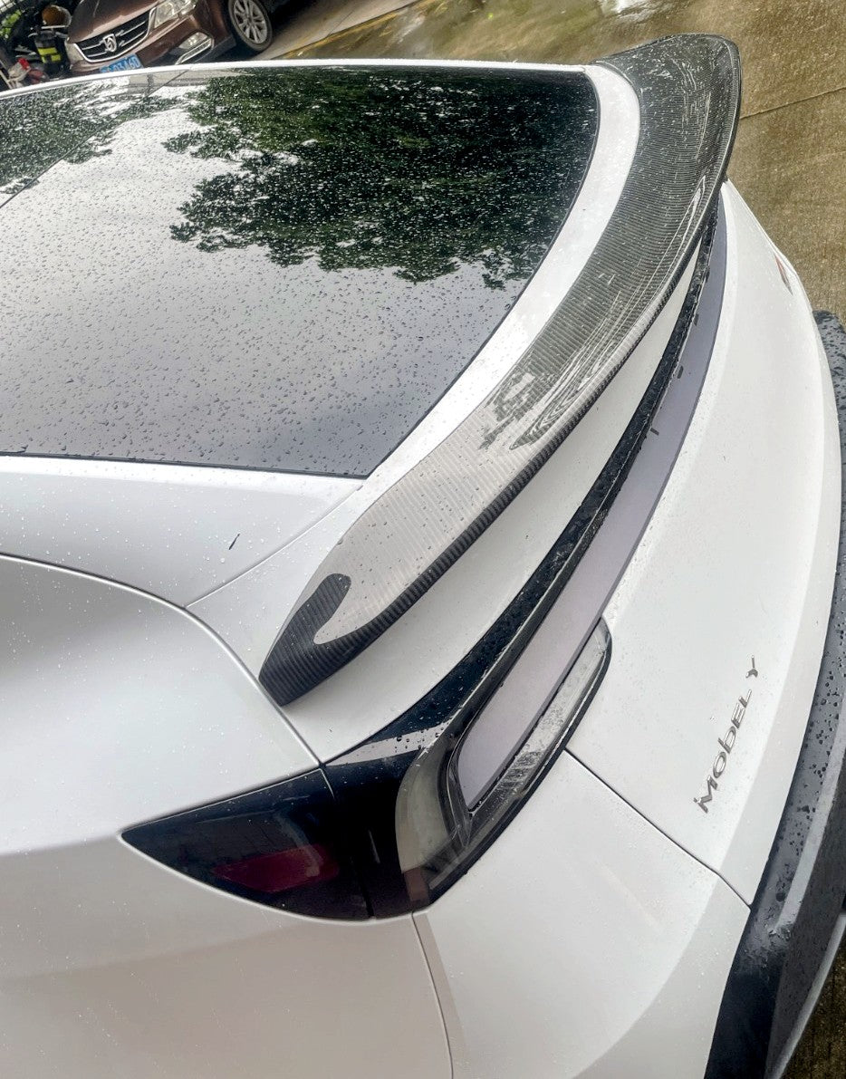 Carbon Fiber V Wing