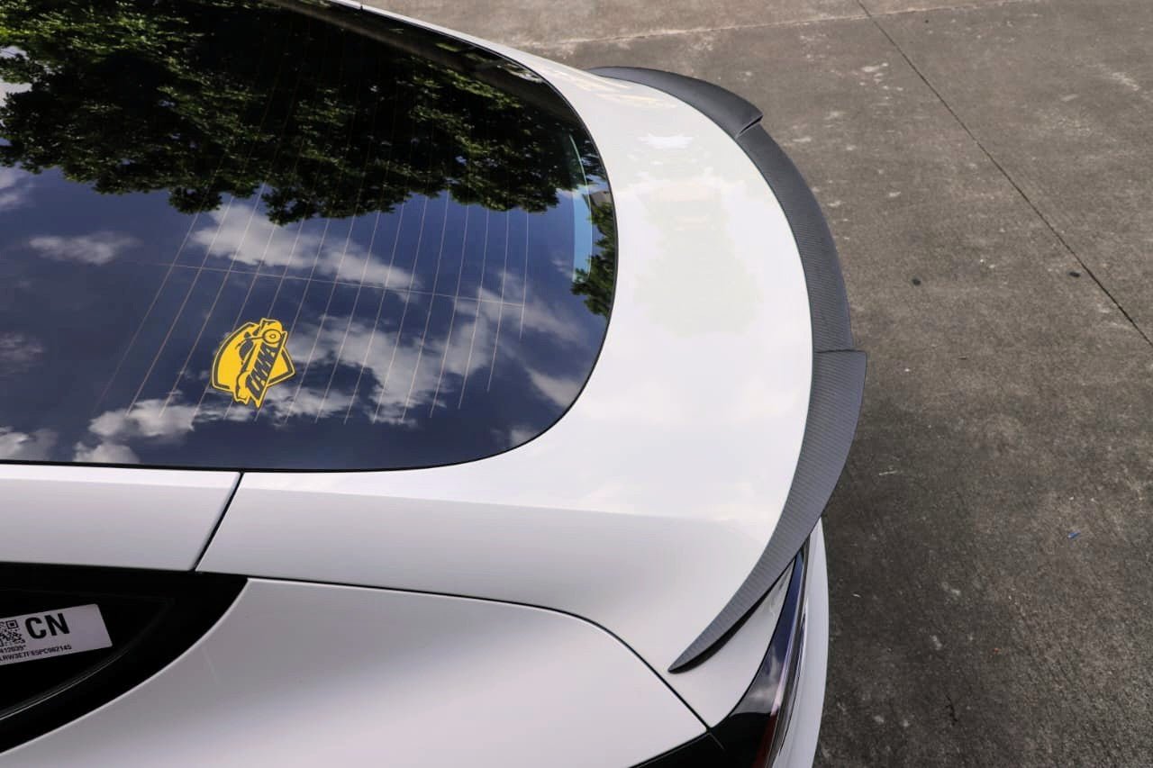 Tesla Model 3 Highland Ronin Spoiler